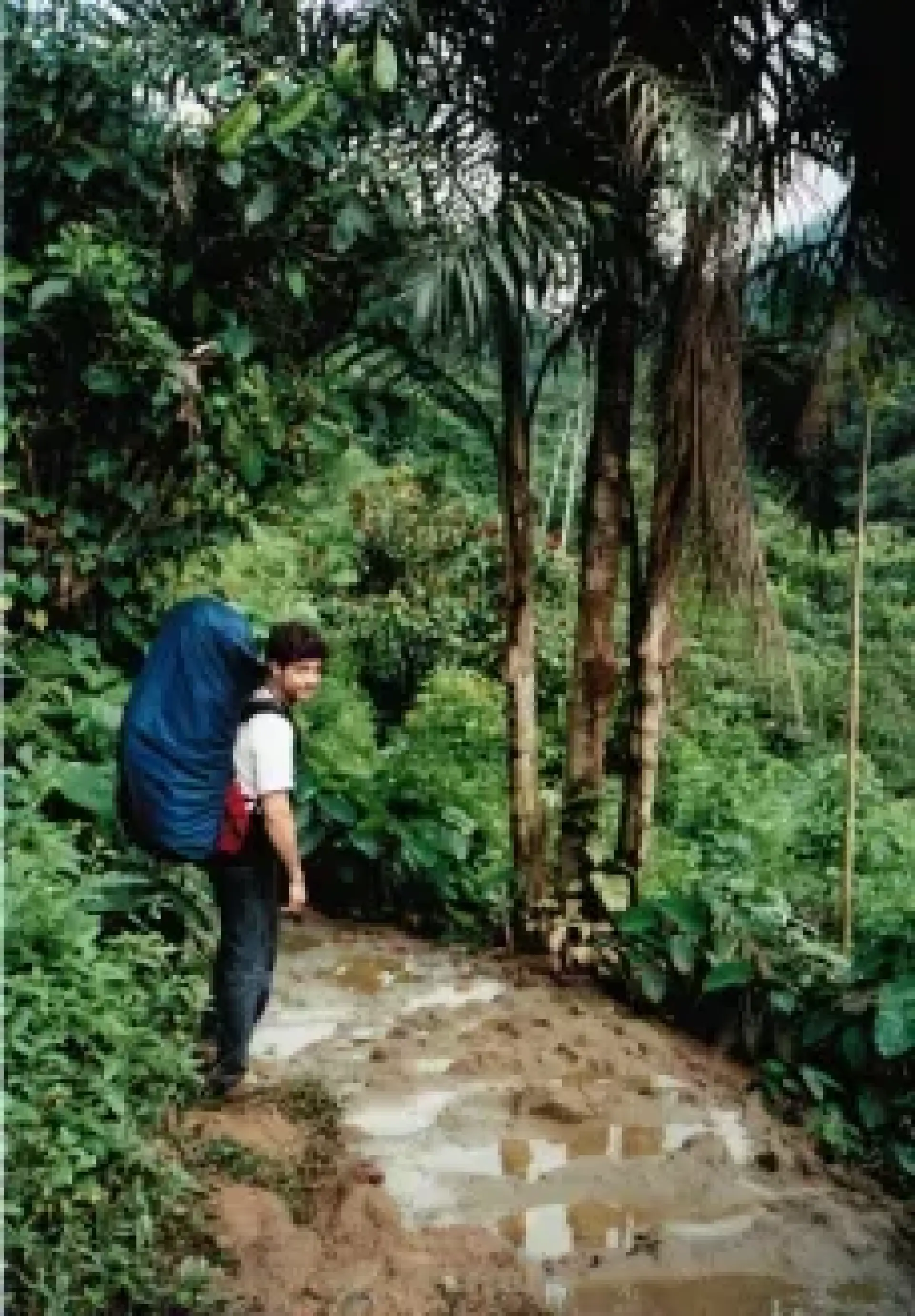 Jungle et sommet d’Equateur